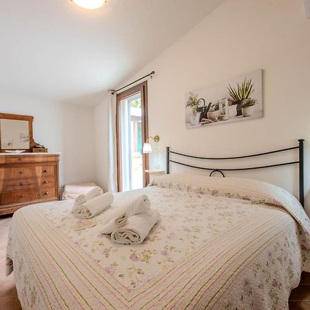 Agriturismo Diaccia Botrona กาส์ตีจลิโอเน เดลลา เปสกายา ภายนอก รูปภาพ