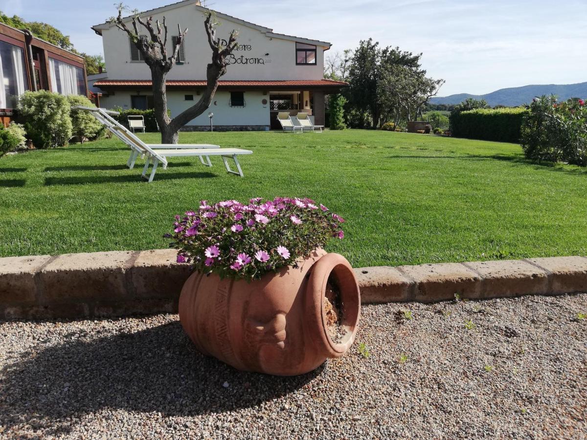 Agriturismo Diaccia Botrona กาส์ตีจลิโอเน เดลลา เปสกายา ภายนอก รูปภาพ