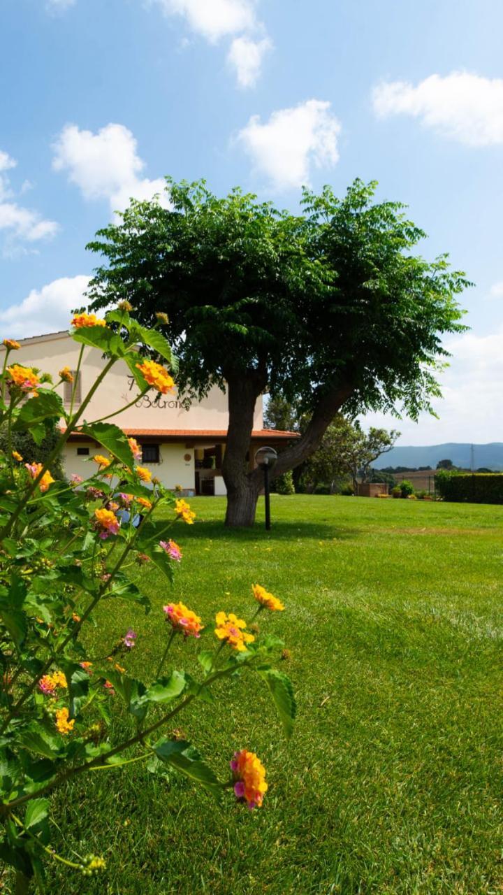 Agriturismo Diaccia Botrona กาส์ตีจลิโอเน เดลลา เปสกายา ภายนอก รูปภาพ