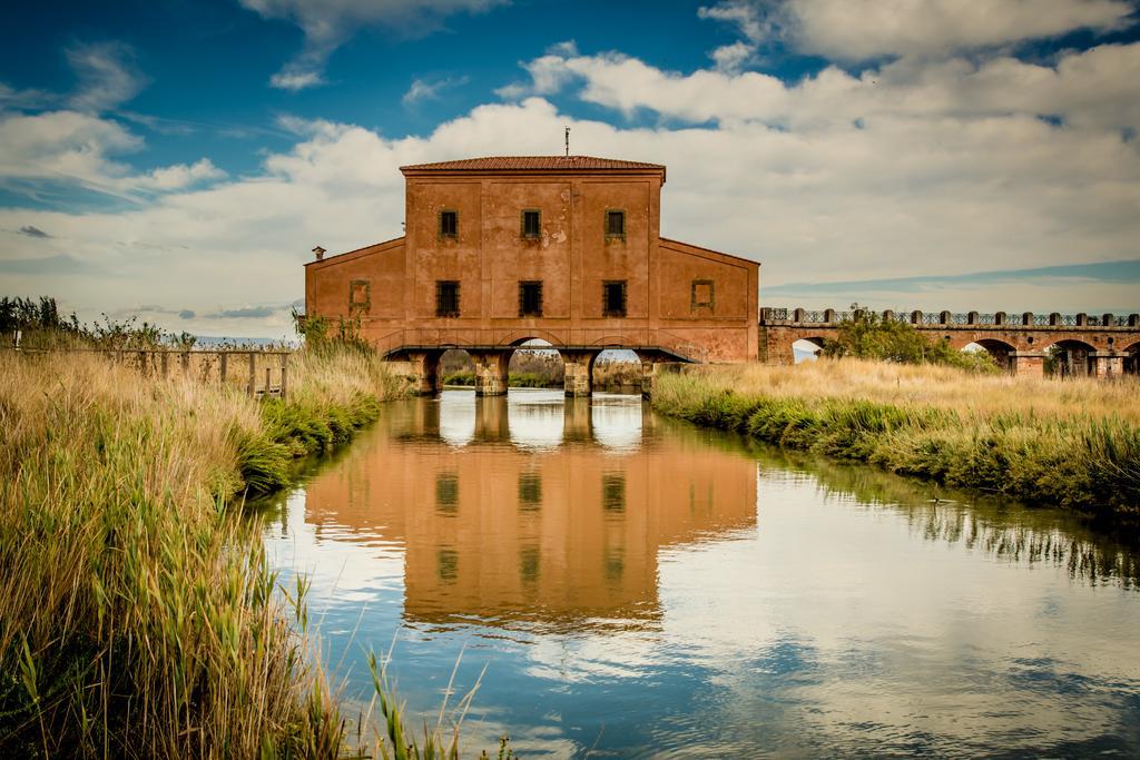 Agriturismo Diaccia Botrona กาส์ตีจลิโอเน เดลลา เปสกายา ภายนอก รูปภาพ