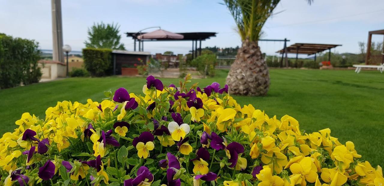 Agriturismo Diaccia Botrona กาส์ตีจลิโอเน เดลลา เปสกายา ภายนอก รูปภาพ